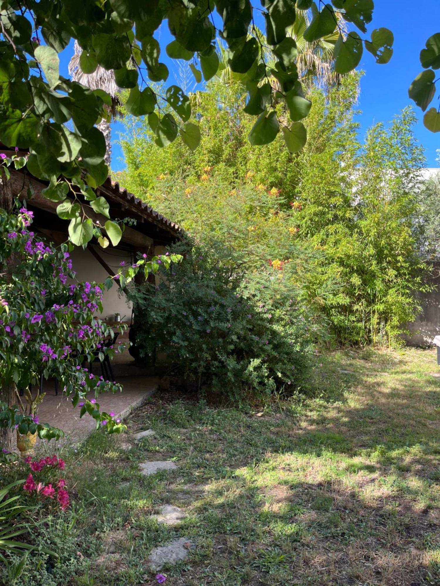 Charmante Petite Maison Avec Terrasse Et Jardin, Proche Tram Castelnau-le-Lez