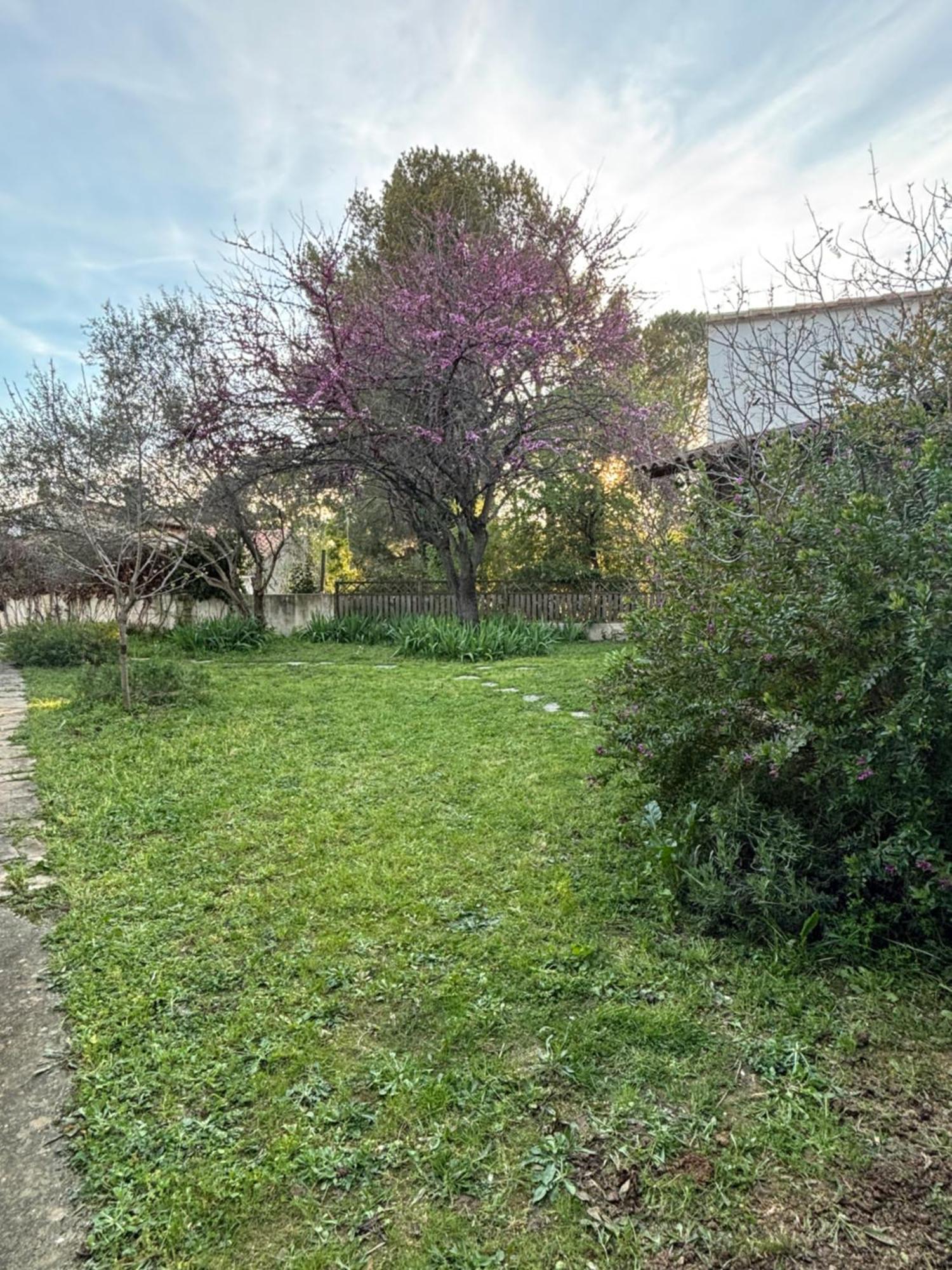 Charmante Petite Maison Avec Terrasse Et Jardin, Proche Tram
